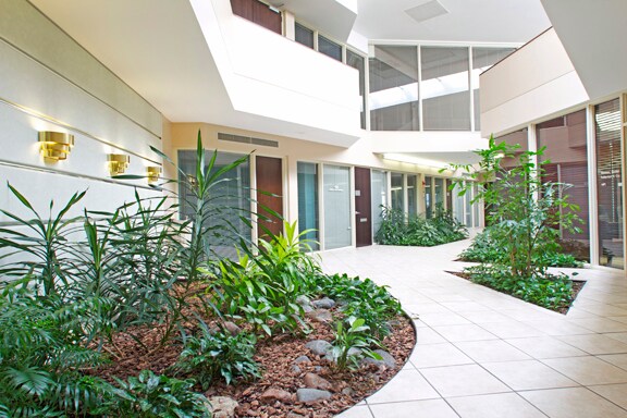 11500 Olive Blvd, Creve Coeur, MO for lease - Building Photo - Image 2 of 16