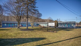 Plus de détails pour 3026 S Main St, Mansfield, PA - Multi-résidentiel à vendre