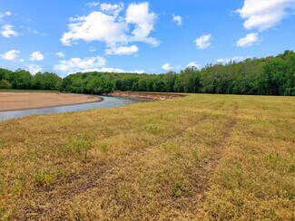 More details for Old Cove Rd. (117.60+/- Acres), Saint Clair, MO - Land for Sale