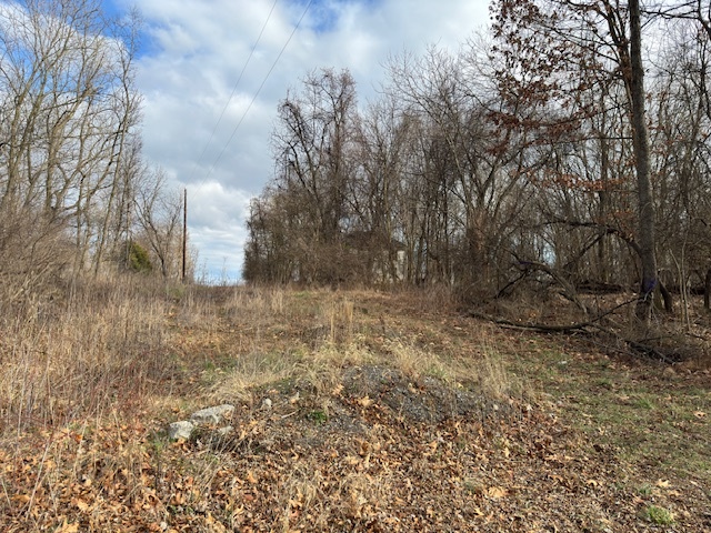 LOT 4 SAM Mason Rd, Bunker Hill, WV à vendre - Photo principale - Image 1 de 1