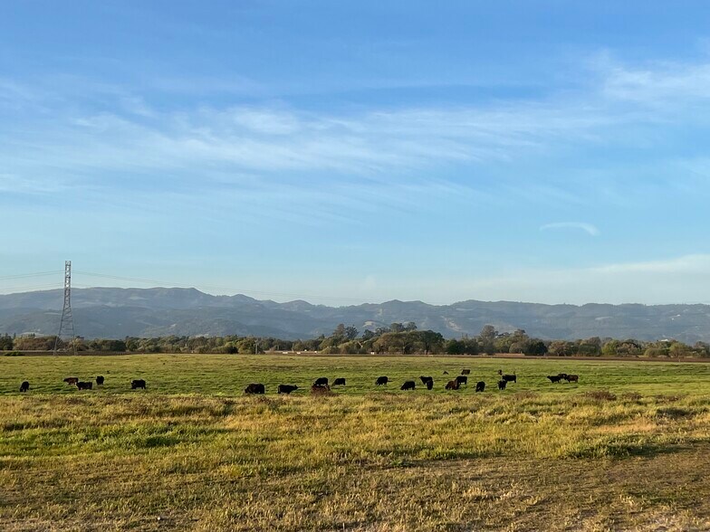 22100 Arnold Drive, Sonoma, CA à vendre - Aérien - Image 1 de 10