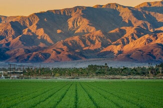 More details for 637.29 AC Seven Farmground Ranches – Land for Sale