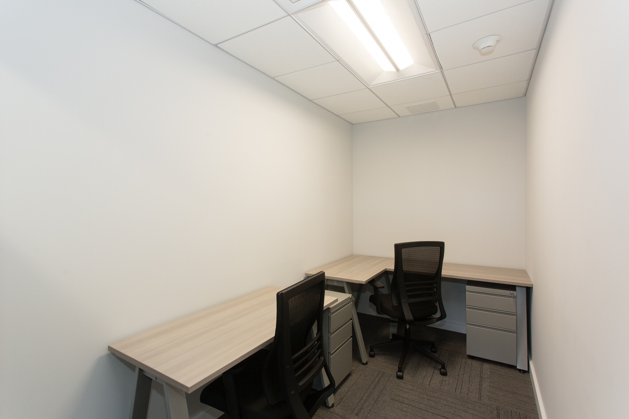 185 Great Neck Rd, Great Neck, NY for lease Interior Photo- Image 1 of 8