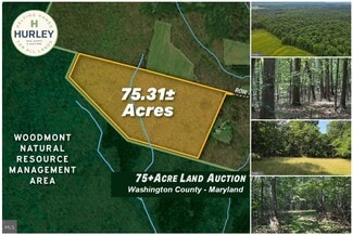 Plus de détails pour Porter's Ln, Hancock, MD - Terrain à vendre