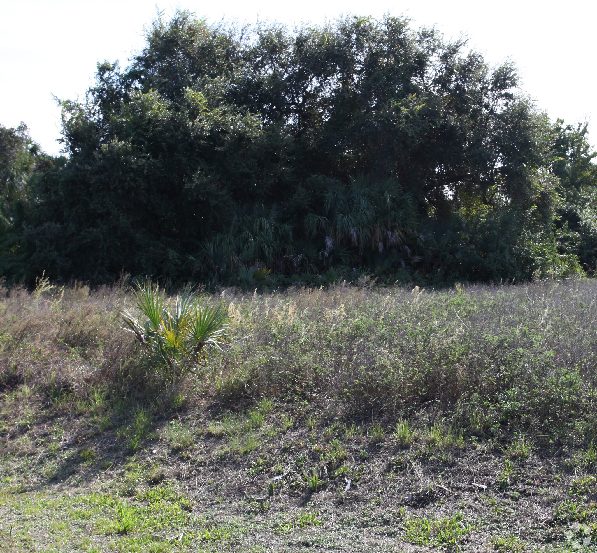 913-921 Tamiami Trl, Port Charlotte, FL for sale Primary Photo- Image 1 of 5