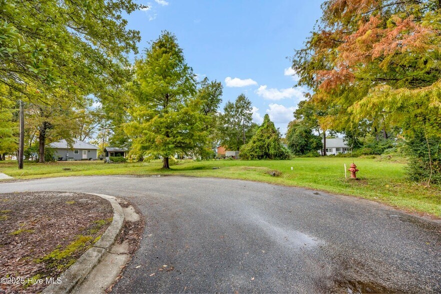 205 Nancy St, Lake Waccamaw, NC à vendre - Photo du bâtiment - Image 3 de 9