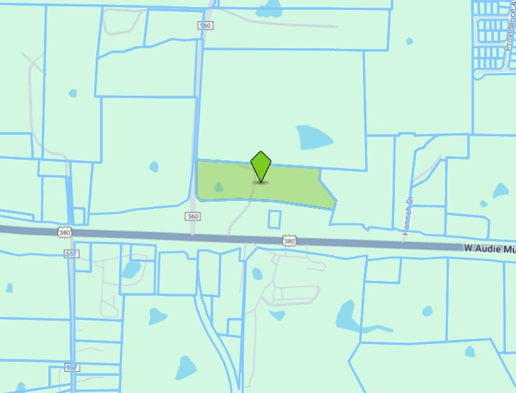 2728 West Audie Murphy Parkway, Farmersville, TX à vendre - Plan cadastral - Image 1 de 1