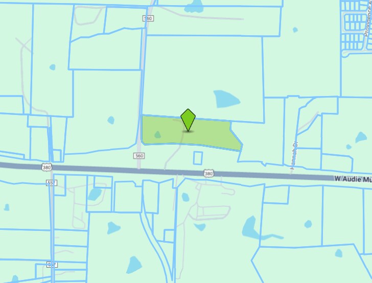 2728 West Audie Murphy Parkway, Farmersville, TX for sale - Plat Map - Image 1 of 1