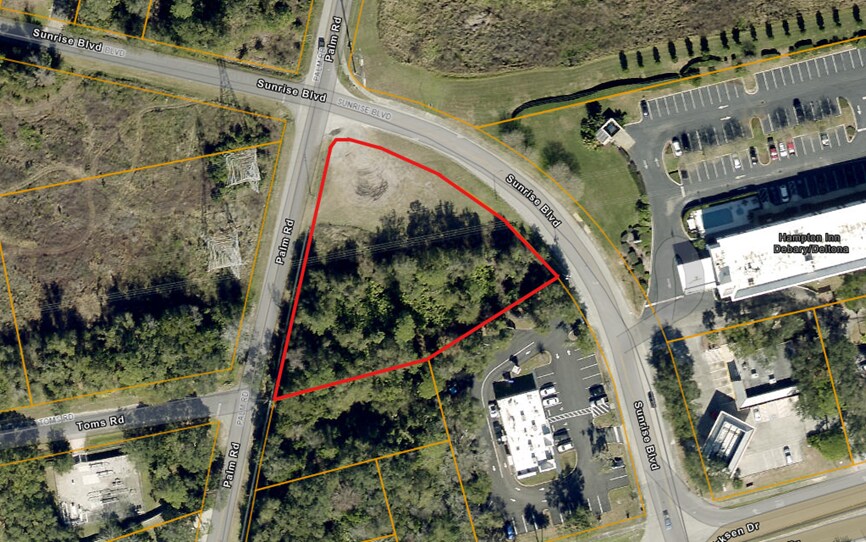 Palm Rd & Sunrise Blvd, DeBary, FL à vendre Aérien- Image 1 de 3