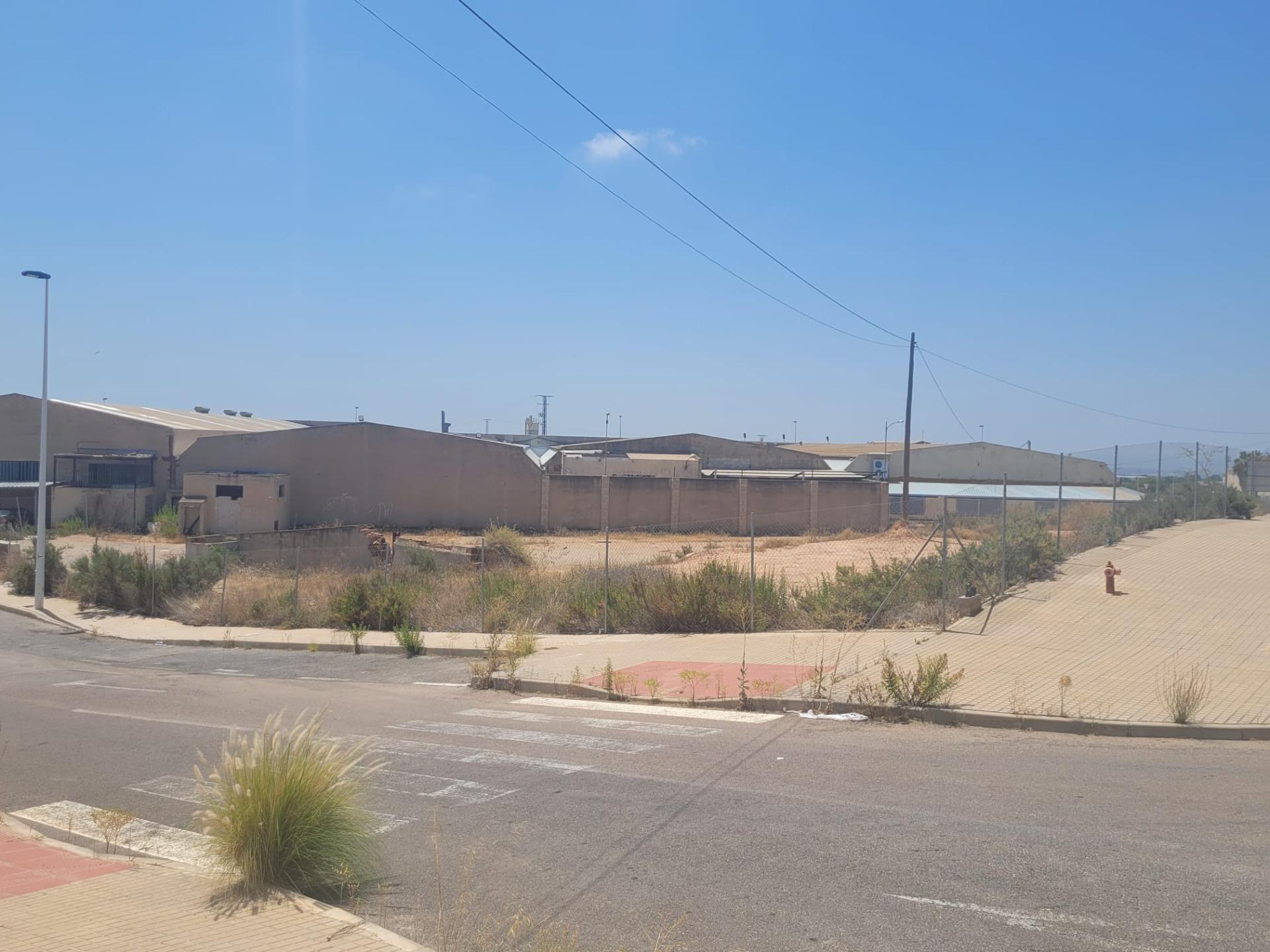 Land in Crevillent, Alicante for sale Other- Image 1 of 7