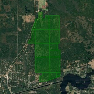 Plus de détails pour U.S. 19 & CR 441, Inglis, FL - Terrain à vendre