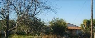 Camí del Llombo, S/N, Ontinyent, Valencia à vendre - Photo du bâtiment - Image 3 de 4