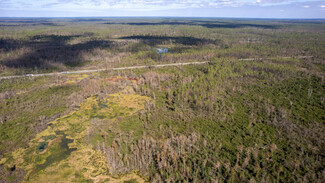 Plus de détails pour US Hwy 27 hwy, Perry, FL - Terrain à vendre