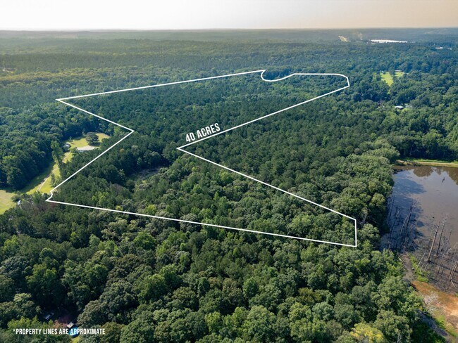 Plus de détails pour 905 Natures Trl, Forsyth, GA - Terrain à vendre