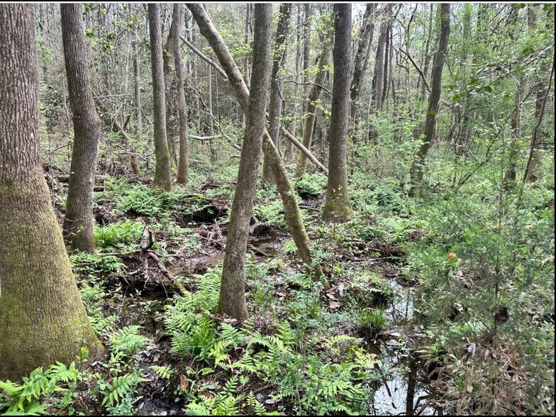 Eufaula Land in Barbour County, Eufaula, AL à vendre - Autre - Image 2 de 5