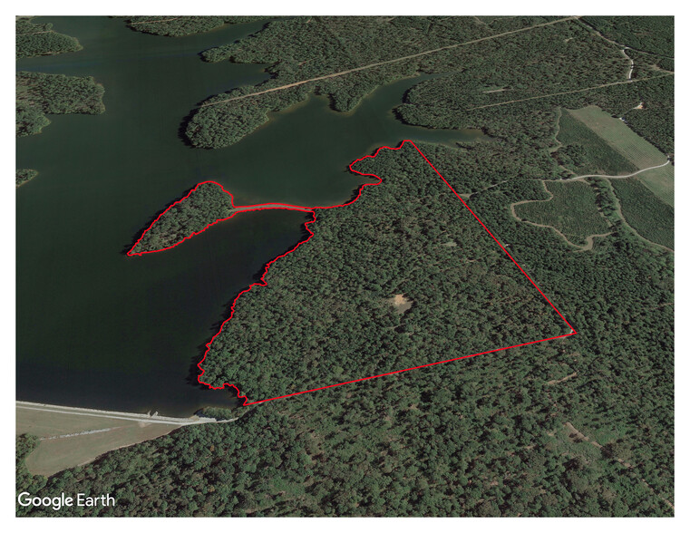 Upper Woolsey, Hampton, GA à vendre - Aérien - Image 1 de 4