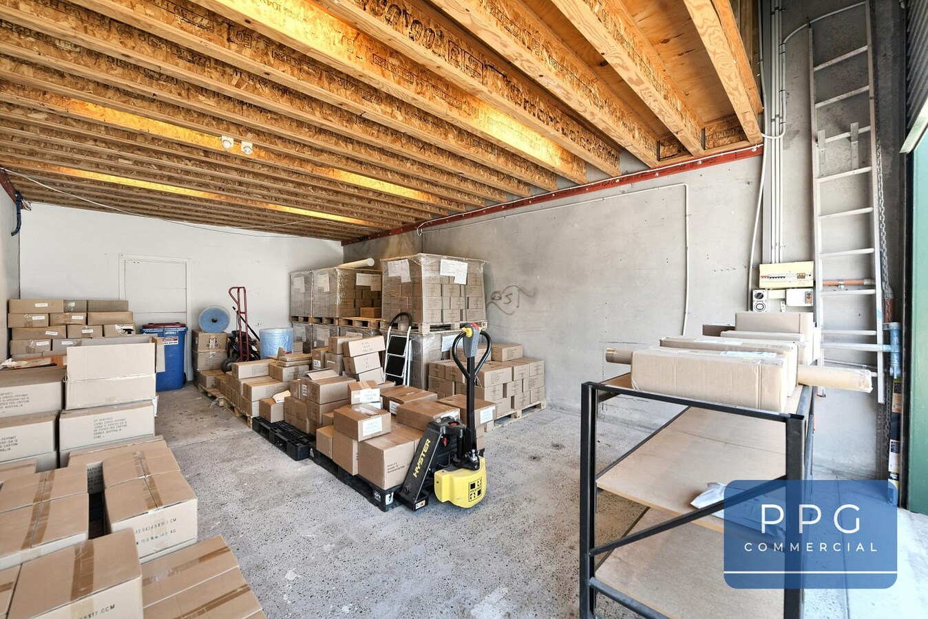 1 Garnet St, Rockdale, NSW 2216 - Unit 1 -  - Interior Photo - Image 1 of 6