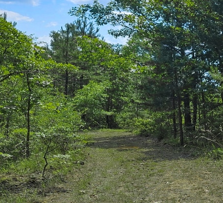 955 Jones Ford Rd, Union, SC for sale - Building Photo - Image 2 of 6