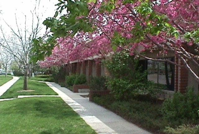 3360 Mitchell Ln, Boulder, CO for lease - Building Photo - Image 2 of 4