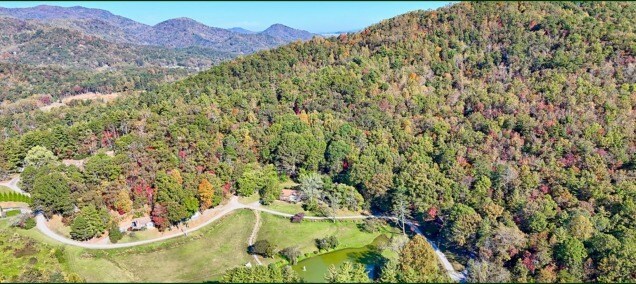 Plus de détails pour 638 Chalet Village, Dillard, GA - Terrain à vendre