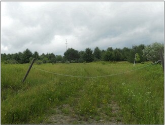 Plus de détails pour 246 Roe rd, Willseyville, NY - Terrain à vendre