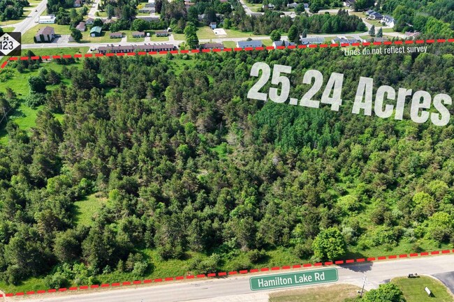 Plus de détails pour TBDState Highway M-123, Newberry, MI - Terrain à vendre
