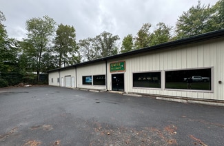 More details for 107 Dixon St, Selbyville, DE - Industrial for Sale