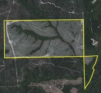 More details for GA Tract 32055, Rupert, GA - Land for Sale