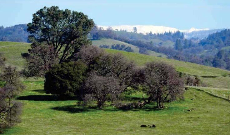 Highway 16, Plymouth, CA à vendre - Autre - Image 2 de 9