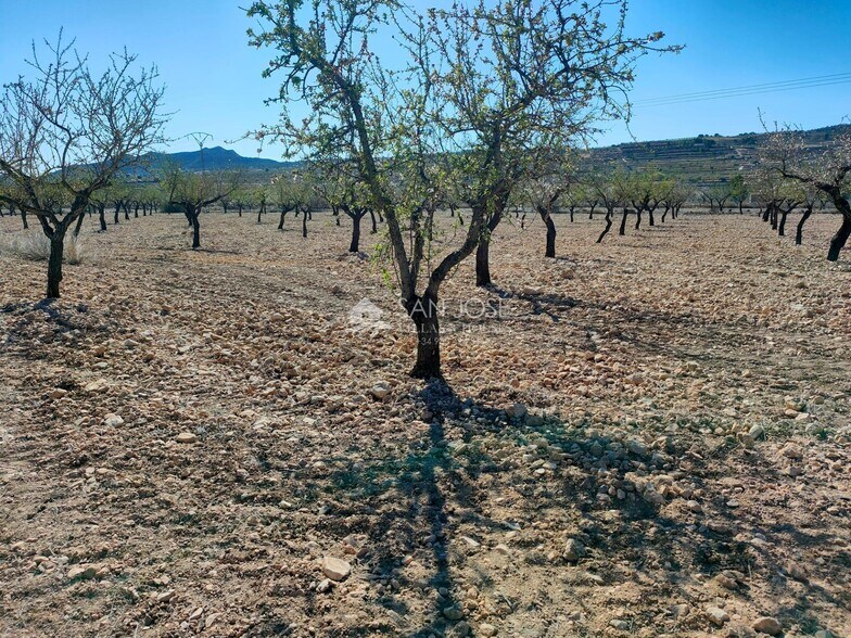Land in Orihuela, Alicante for sale - Primary Photo - Image 1 of 11