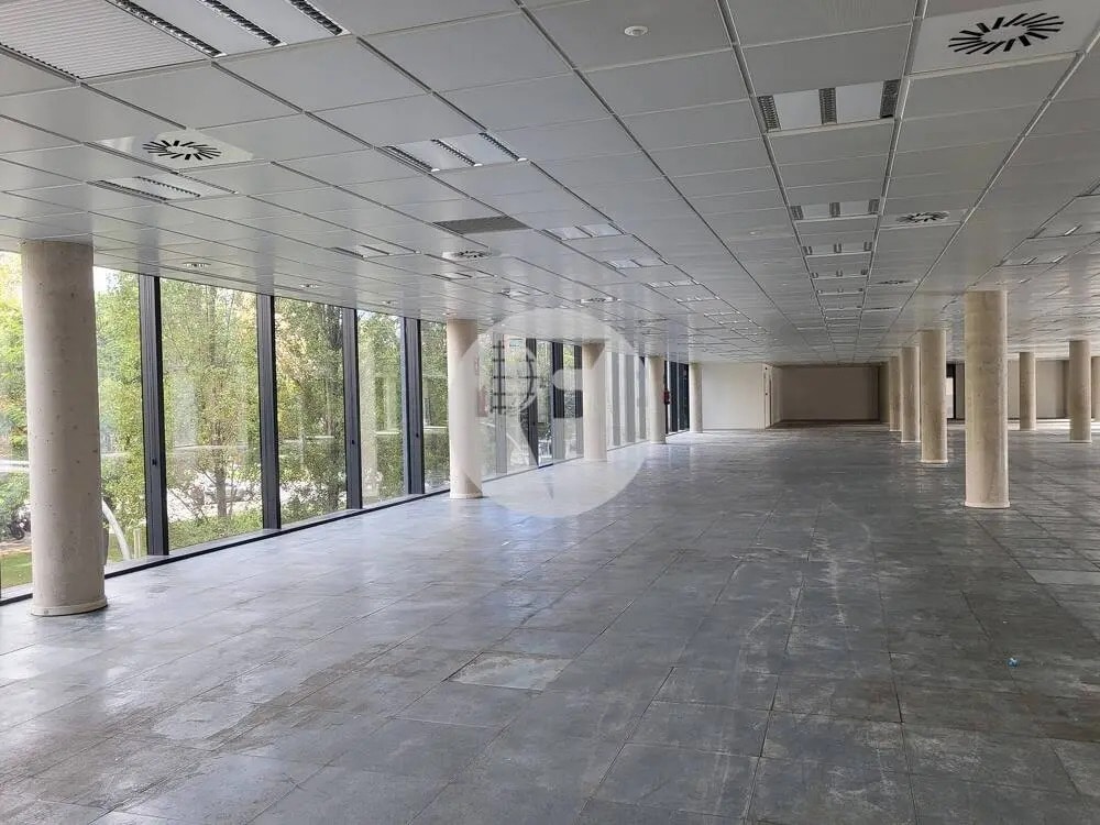 Office in L'Hospitalet de Llobregat, Barcelona for lease Interior Photo- Image 1 of 14