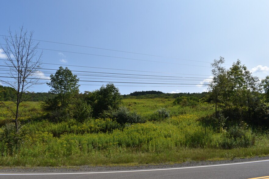 2276 Old Route 17, Windsor Township, NY à vendre - Photo du bâtiment - Image 3 de 22