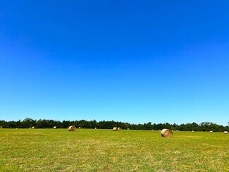 More details for 880 Wasden Rd, Hope Hull, AL - Land for Sale