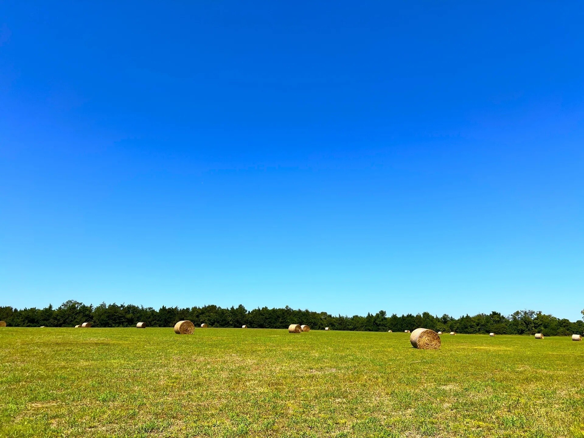 880 Wasden Rd, Hope Hull, AL for sale Building Photo- Image 1 of 8