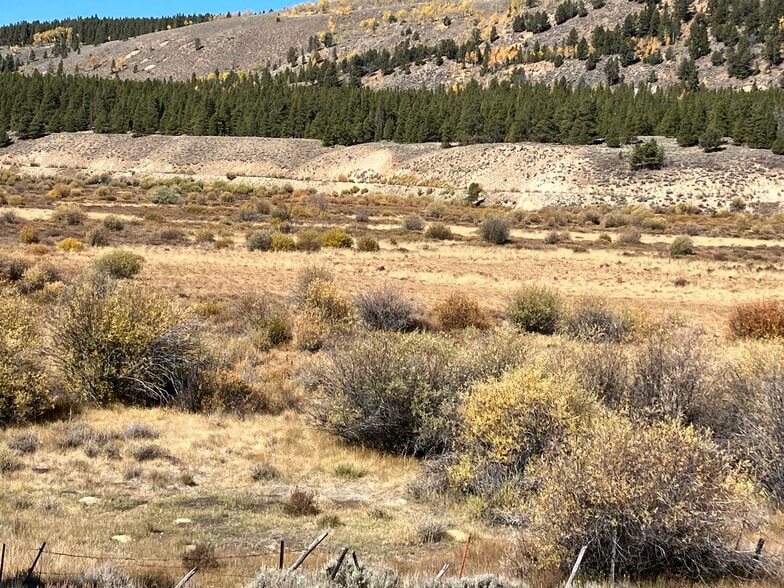 River Rd, Leadville, CO à vendre - Photo du bâtiment - Image 3 de 7