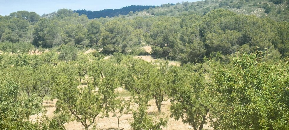 Terrain dans Yecla, Murcia à vendre - Aérien - Image 3 de 6
