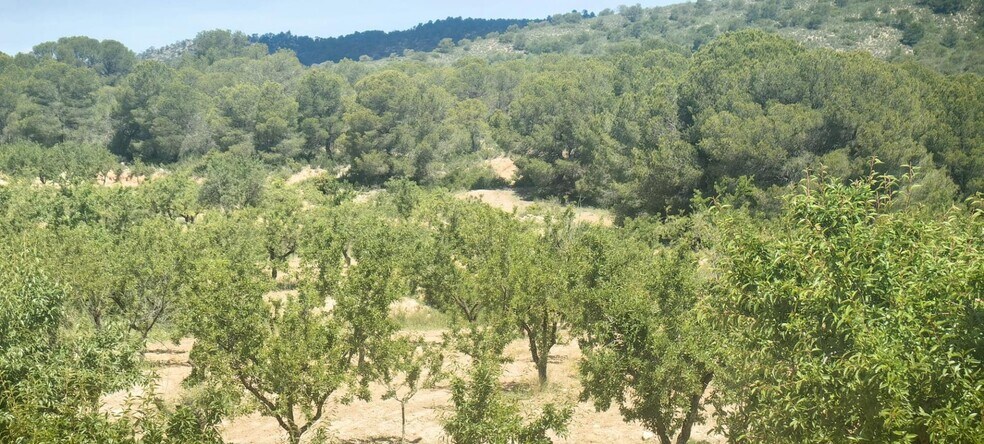 Terrain dans Yecla, Murcia à vendre - Aérien - Image 3 de 6