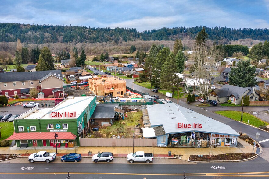 4645 Tolt Ave, Carnation, WA à vendre - Aérien - Image 3 de 6