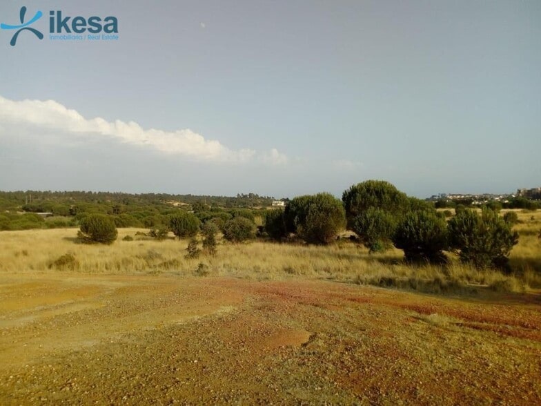 Land in Lepe, Huelva for sale - Aerial - Image 2 of 3