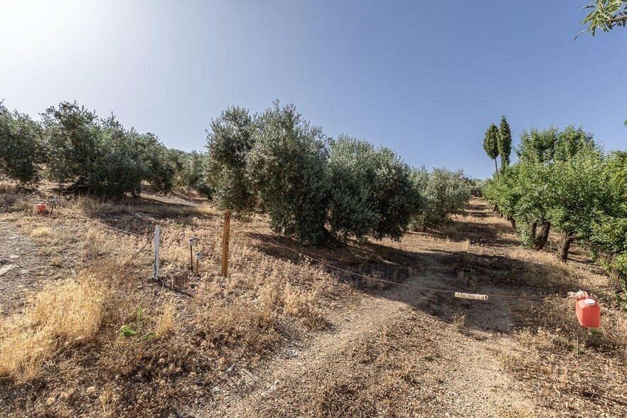 Terrain dans Montefrío, Granada à vendre - Photo du bâtiment - Image 2 de 16