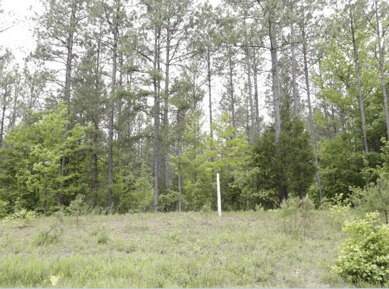 TBD Bethel Rd, Lancaster, SC à vendre - Aérien - Image 2 de 3