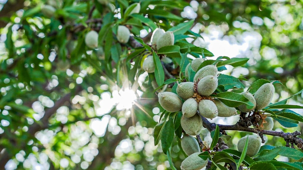 Oakland, Five Points, CA for sale - Building Photo - Image 3 of 35
