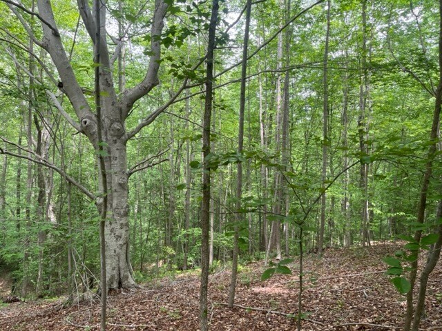 7585 Mason Springs Rd, La Plata, MD for sale - Other - Image 2 of 9