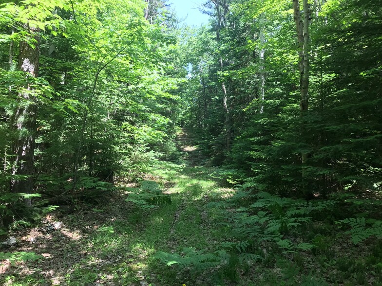 TBD County Road 492, Marquette, MI à vendre - Photo principale - Image 1 de 1