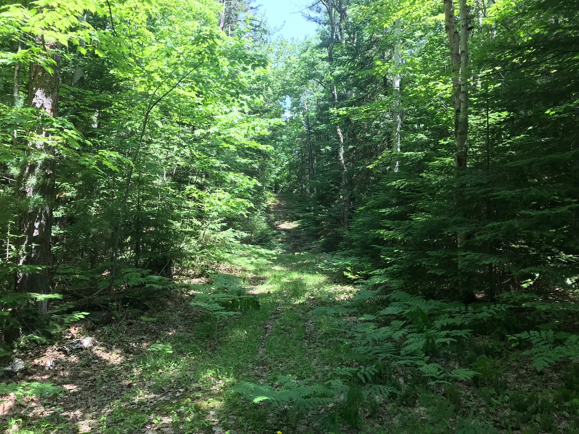 TBD County Road 492, Marquette, MI à vendre Photo principale- Image 1 de 1