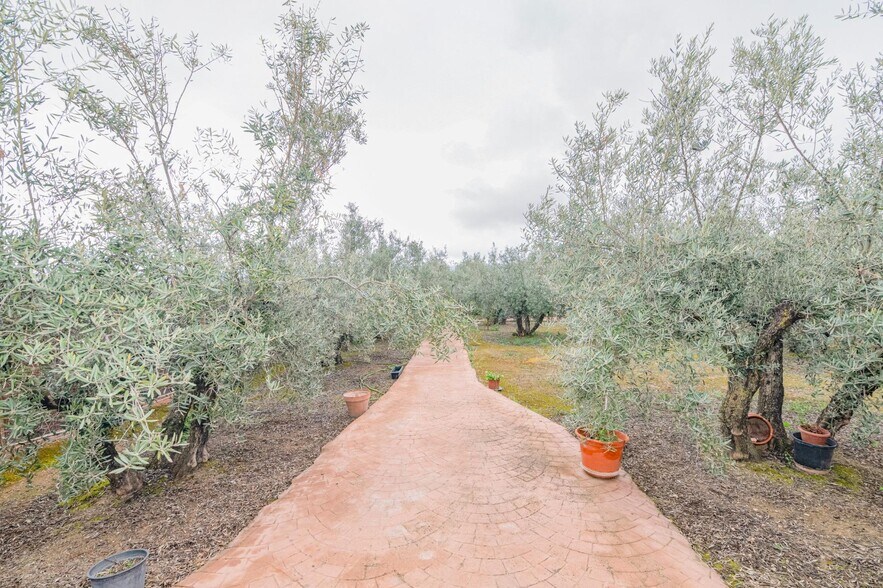Land in Ogíjares, Granada for sale - Building Photo - Image 3 of 25