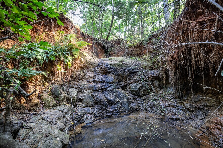 600 Roselake Dr, Nacogdoches, TX à vendre - Photo du bâtiment - Image 3 de 17