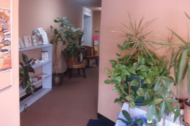 350 N Aurora St, Easton, MD à louer - Photo intérieure - Image 2 de 8