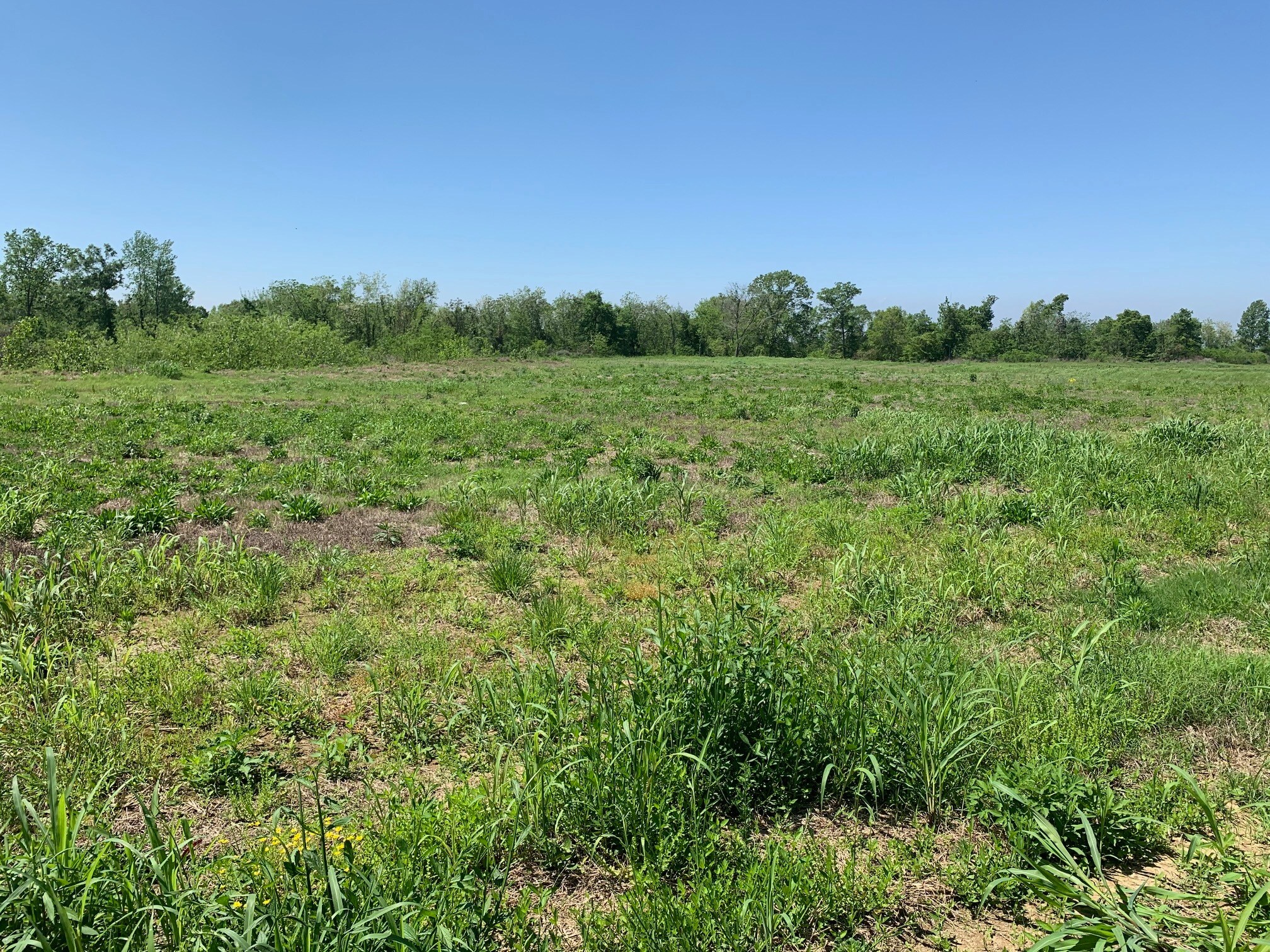 000E-2C Highway 61, Natchez, MS à vendre Photo du bâtiment- Image 1 de 4