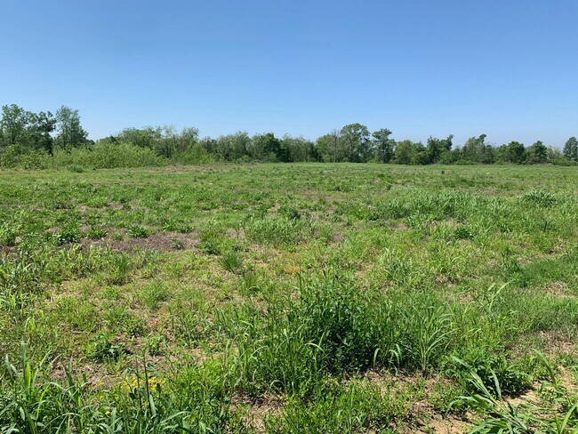 More details for 000E-2C Highway 61, Natchez, MS - Land for Sale